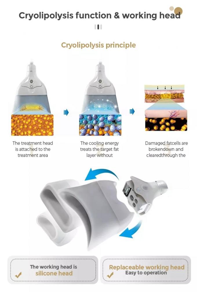 2023 New Professional Cryolipolysis Body Slimming Machine 360 Fat Freezing 2 Cryo Probes Or 4 Handles 6 Treatment Cups